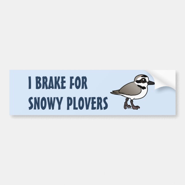 I Brake for Snowy Plovers Bumper Sticker (Front)