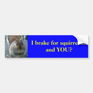 I brake for squirrels...and YOU? Bumper Sticker
