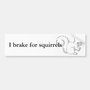 I brake for squirrels bumper sticker