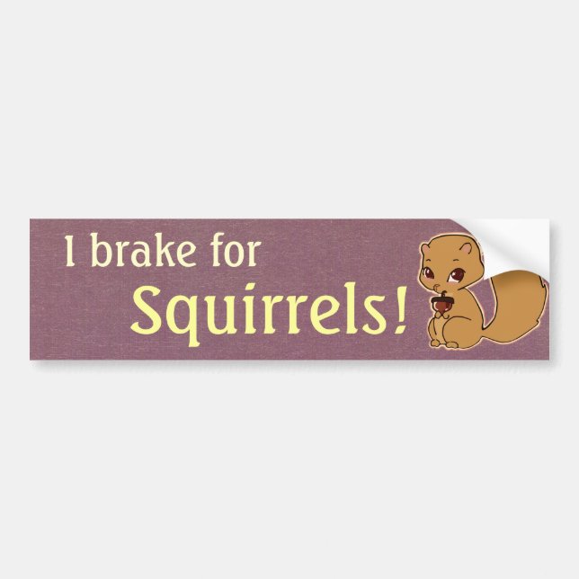 I Brake for Squirrels Bumper Sticker (Front)