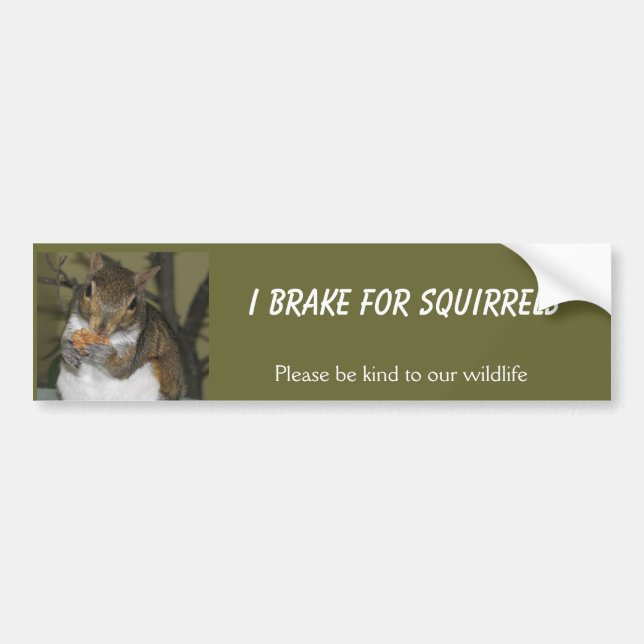 I Brake for Squirrels Bumper Sticker (Front)