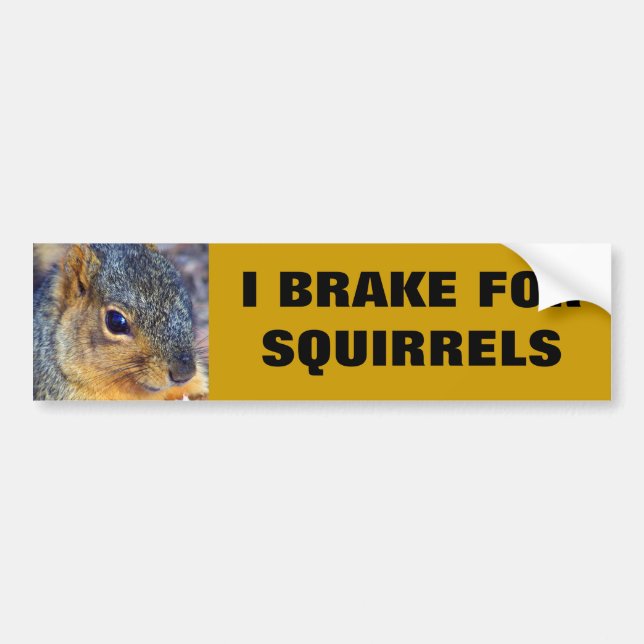 I BRAKE FOR SQUIRRELS BUMPER STICKER (Front)