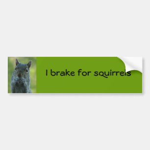 I brake for squirrels bumper sticker