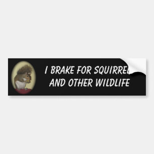I Brake for Squirrels bumper sticker