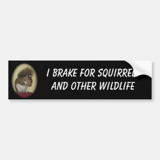 I Brake for Squirrels bumper sticker