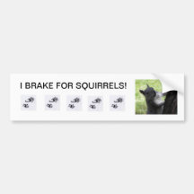 I BRAKE for Squirrels, bumper sticker.
