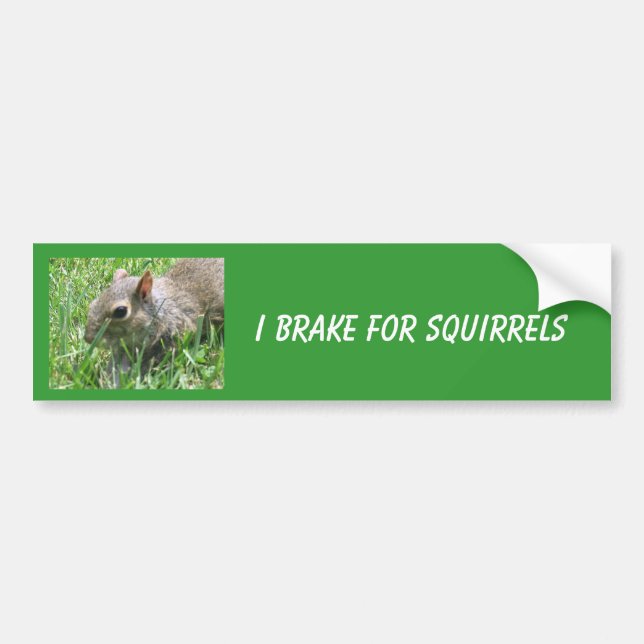 I Brake for Squirrels featuring "Clicker" Bumper Sticker (Front)