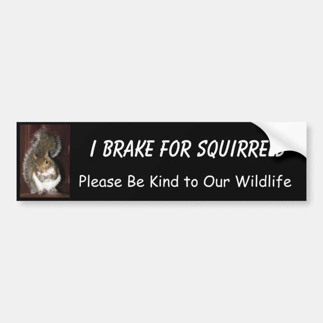 I Brake for Squirrels featuring "Summer" Bumper Sticker (Front)