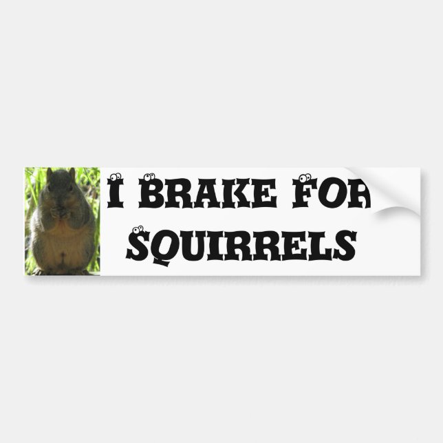 I Brake For Squirrels - Humour Bumper Sticker (Front)