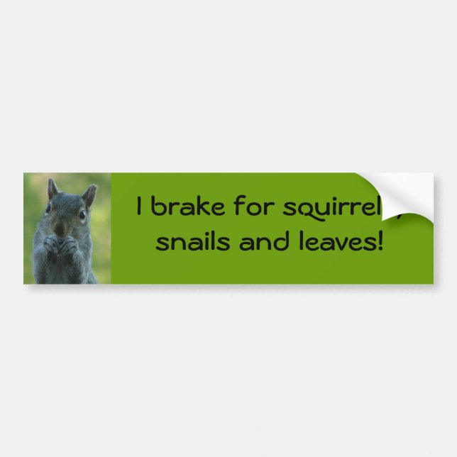 I brake for squirrels, snails and leaves bumper sticker (Front)