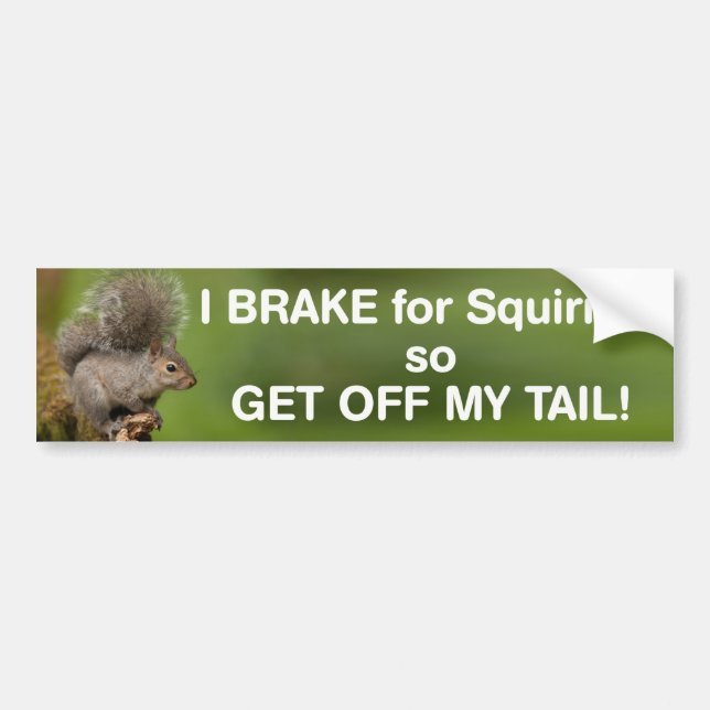 I brake for squirrels so get off my tail bumper sticker (Front)