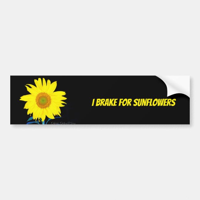 I Brake for Sunflowers Bumper Sticker (Front)