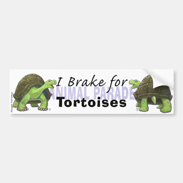 I Brake for Tortoises Bumper Sticker (Front)