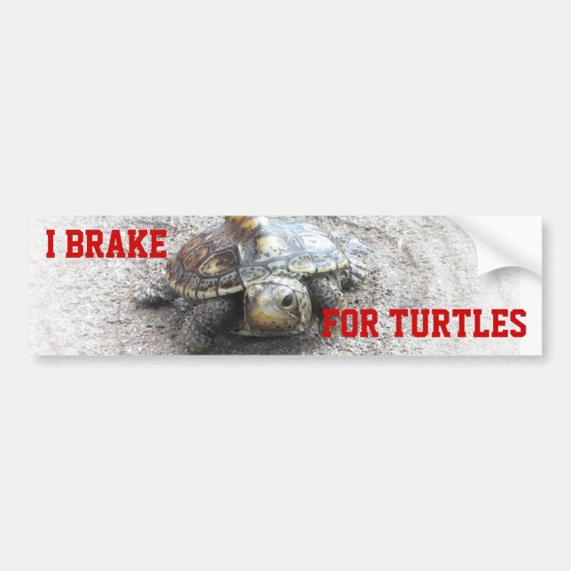 I Brake for Turtles Bumper Sticker (Front)