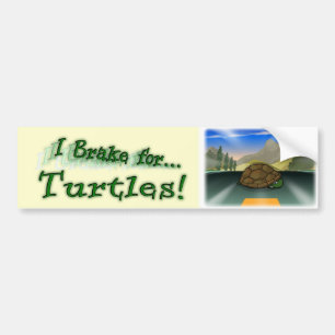 I Brake for Turtles! Bumper Sticker