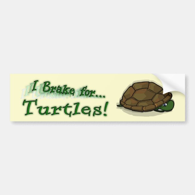 I Brake for Turtles! Bumper Sticker (Front)