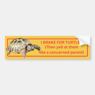 I Brake for Turtles Bumper Sticker