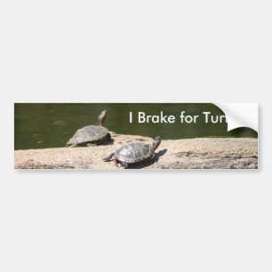 I Brake for Turtles Bumper Sticker