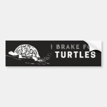 I Brake For Turtles Bumper Sticker Cute and Fun