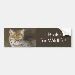 I Brake for Wildlife Bobcat Bumper Sticker