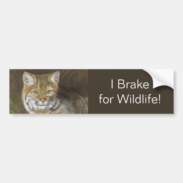 I Brake for Wildlife Bobcat Bumper Sticker (Front)