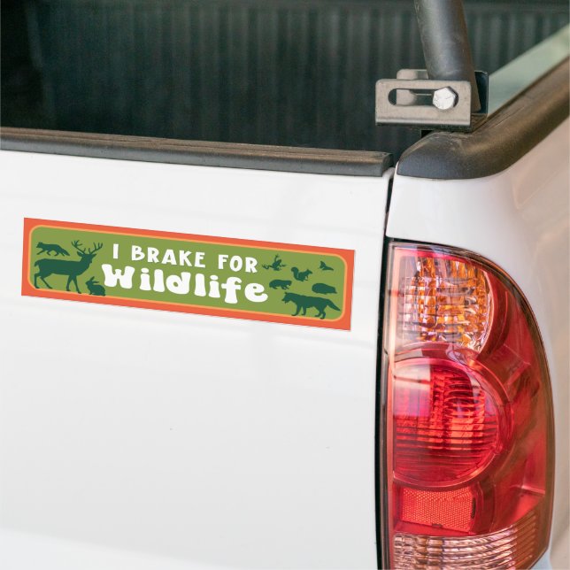 I Brake For Wildlife  Bumper Sticker (On Truck)