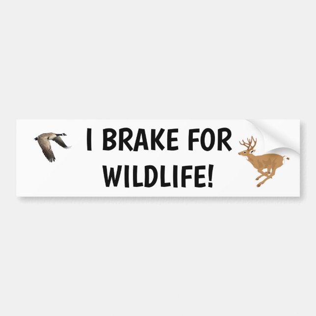 I Brake for Wildlife Bumper Sticker (Front)