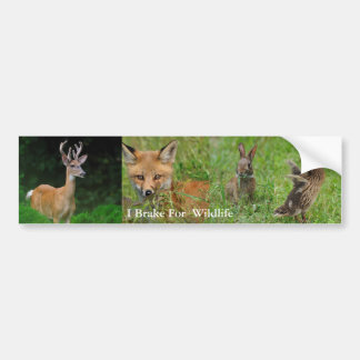 I Brake For Wildlife Bumper Sticker