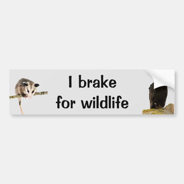 I Brake for Wildlife bumper sticker (Front)