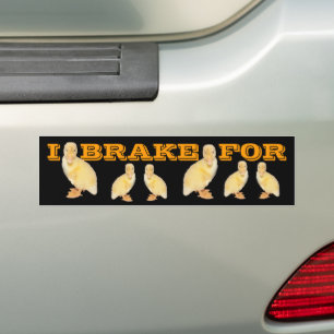 I BRAKE FOR Yellow Duckling Photo Personalised Bumper Sticker