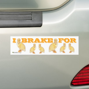 I BRAKE FOR Yellow Duckling Photo Personalised Bumper Sticker