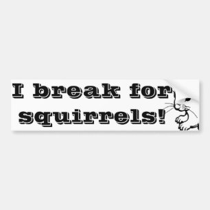 I break for squirrels 2 bumper sticker