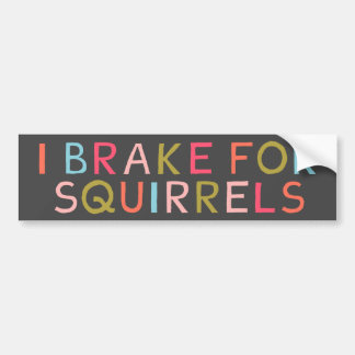 I BREAK FOR SQUIRRELS BUMPER STICKER