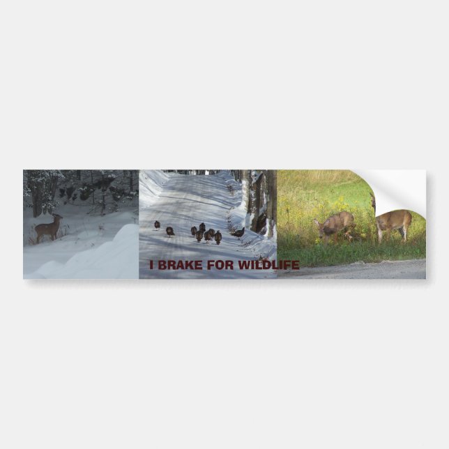 I BREAK FOR WILDLIFE BUMPER STICKER (Front)