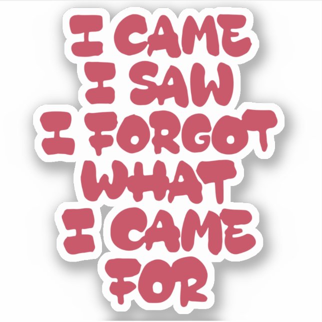 I came, I saw, I forgot what I came for (Front)