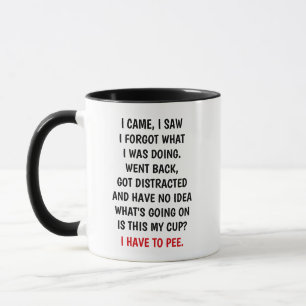 I Came I Saw I Forgot What I Was Doing Funny Mug