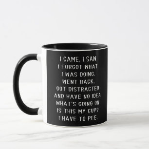 I Came I Saw I Forgot What I Was Doing Funny Mug