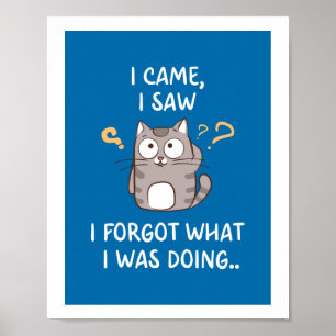 I came i saw i forgot what i was doing poster