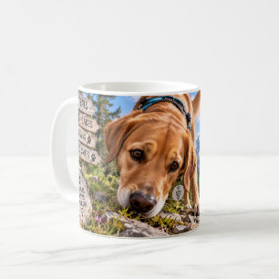 I Came I Saw I Sniffed Mug