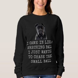 I Came In Like A Wrecking Ball Funny Dog Dad and D Sweatshirt