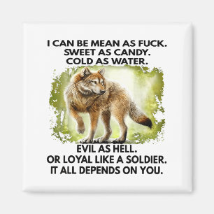 I Can Be Mean As For Sweet As Candy Cold As Water  Magnet