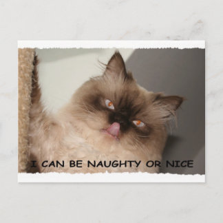 I CAN BE NAUGHTY OR NICE HOLIDAY POSTCARD