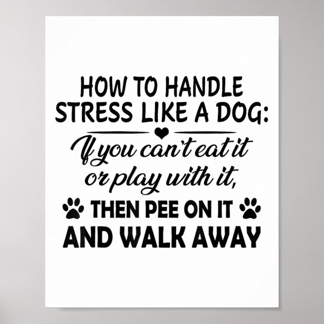 I Can Explain, Can&#x27;t Understand It For You Funny  Poster (Front)