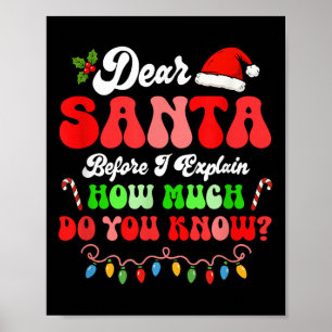 I Can Explain Christmas Colorful Lights Santa Cost Poster