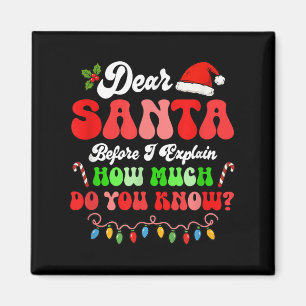 I Can Explain Christmas Colourful Lights Santa Cos Magnet