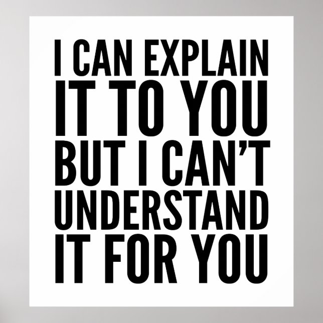 I Can Explain it to You But I Can't Understand... Poster (Front)