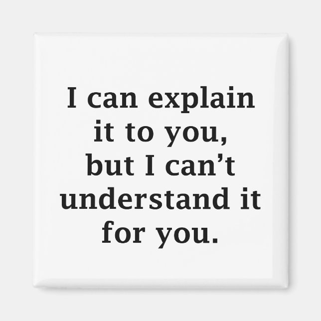 I Can Explain It To You Magnet (Front)