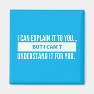 I Can Explain It To You Magnet