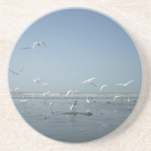 I can flying coaster