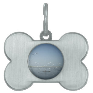I can flying pet tag